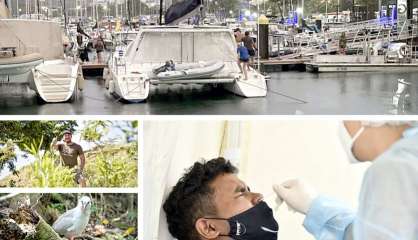 Le tour de l’actualité du vendredi 11 février en Nouvelle-Calédonie