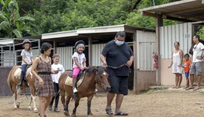 Tous à cheval : les clubs équestres ouvrent leurs portes ce week-end