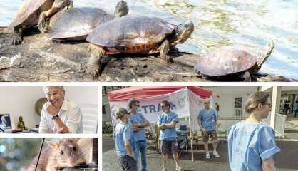 Le tour de l'actualité du jeudi 3 mars en Nouvelle-Calédonie
