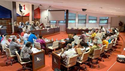 Budget 2022 : les loyalistes quittent l’hémicycle du Congrès