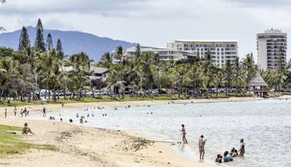 Une alerte requin plage de l’Anse-Vata, les baigneurs évacués
