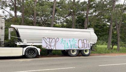Manifestation contre la vie chère à Bourail