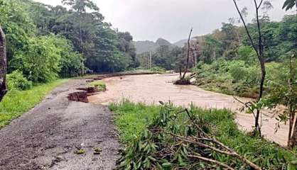 [DIRECT] Fili : la phase de sauvegarde est levée