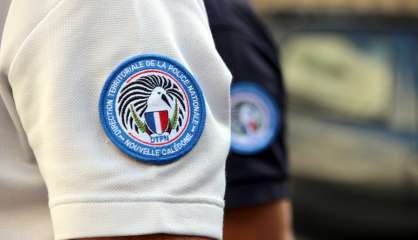 Trois mineurs interpellés après un vol à Ouémo