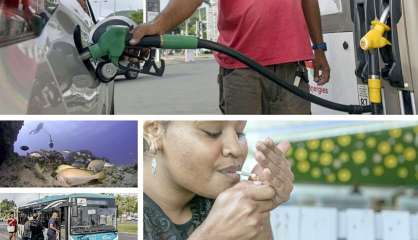 Le tour de l’actualité du 24 mai en Nouvelle-Calédonie