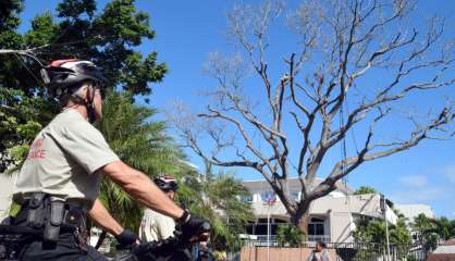 Nouméa : L’abattage du caïlcédrat centenaire a commencé devant l’hôtel de ville