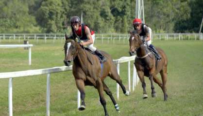 Hippisme : la première manche de la saison interrompue à cause d’une coupure d’électricité