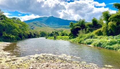 Un appel à projets pour les protecteurs de l'