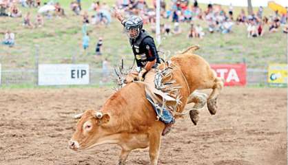 Païta : la Fête du Bœuf ne reviendra pas cette année