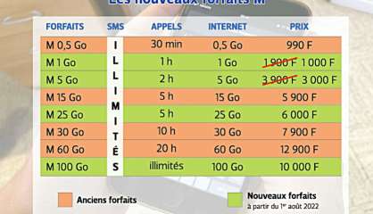 Forfaits OPT : davantage d’Internet pour moins cher