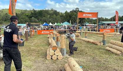Foire de Bourail : du bûcheronnage et du rodéo au programme