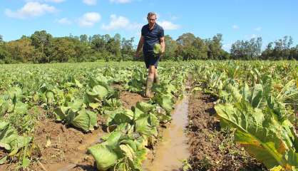 La province Sud dégage une enveloppe de 40 millions pour ses agriculteurs