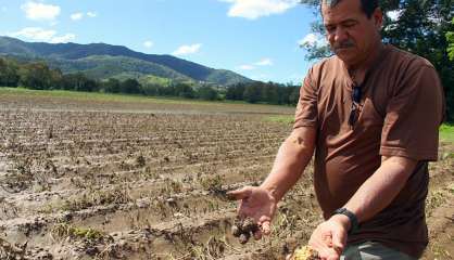 [VIDÉO] Pluies diluviennes : le monde agricole est 