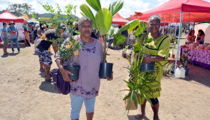 Moindou : la 10e Fête du palmier n'aura pas lieu cette année