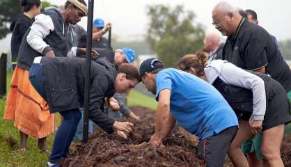 La plantation d’ignames rassemble les générations à Dumbéa