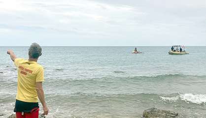 Nouméa : l'alerte au requin levée