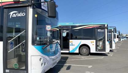 Débrayage suite à de nouveaux caillassages chez Tanéo, la circulation des bus perturbée