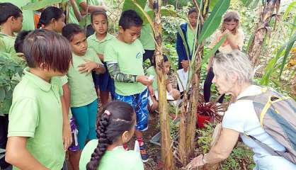 Animations et découvertes aux jardins partagés de Dumbéa-sur-Mer