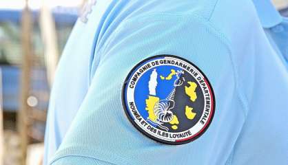 Piéton renversé à Scheffleras : la gendarmerie lance un appel à témoin