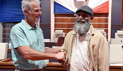 Comité consultatif de l’environnement : Washetine passe la main à Manauté