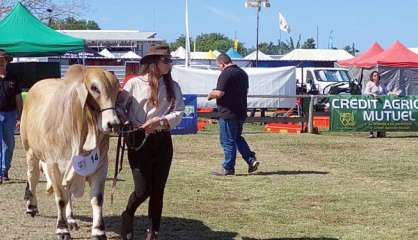 La 29e Foire de Koumac, c’est parti !