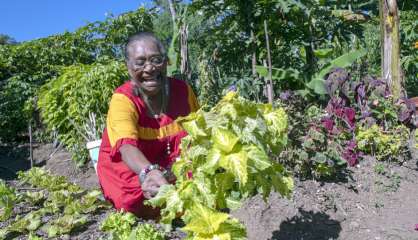 Rendez-vous aux jardins et en cuisine ce samedi 