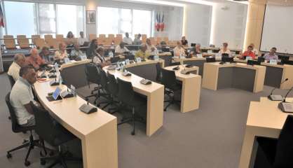 Mines : le CESE favorable à la taxe et à la redevance