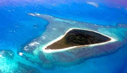 [VIDÉO] Les îlots passés à la loupe