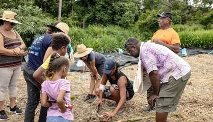 Tech & Bio, l'agriculture bio au centre de l'innovation