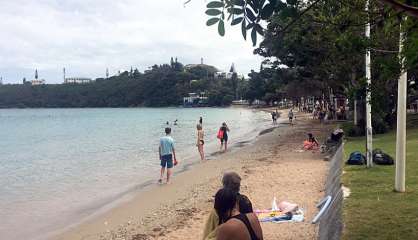 Alerte au requin à la baie des Citrons et l’Anse-Vata