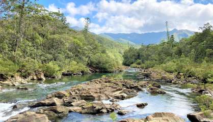 Une randonneuse néo-zélandaise meurt noyée à la rivière Bleue