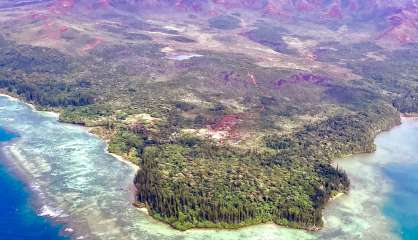 Un feu de forêt est en cours à Port-Boisé
