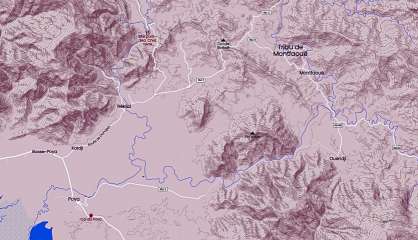 Un véhicule dans le ravin à Poya, un mort
