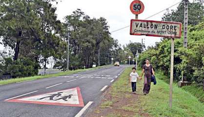 Un requin-tigre près du ponton du Vallon-Dore, la baignade interdite