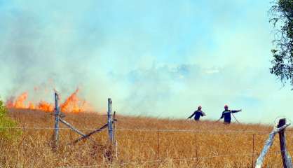Deux hectares de végétation détruits par le feu à Voh