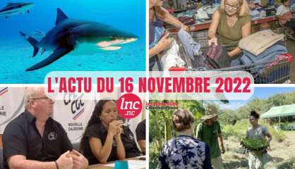 Le tour de l'actualité en Nouvelle-Calédonie du 16 novembre 2022