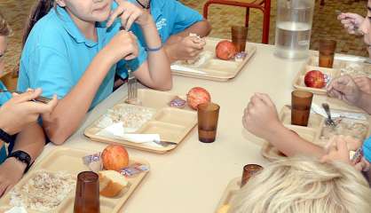 [MàJ] Cantines et garderies ce jeudi : les communes du Grand Nouméa s'organisent