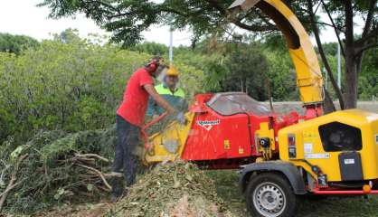 Du retard dans le broyage des déchets verts