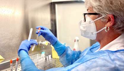 Covid : le taux d'incidence augmente encore