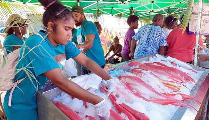 Les produits des îles Loyauté très attendus à La Conception