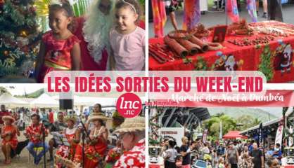 Les dix idées sorties du week-end