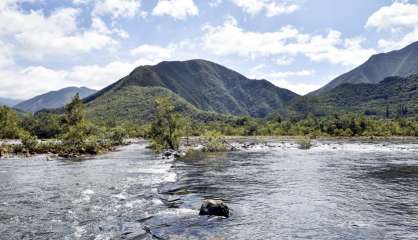 Fermé en raison des intempéries, le parc de la Dumbéa rouvre