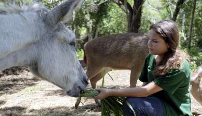 [VIDÉO] Son job d’été : soigneuse au parc forestier
