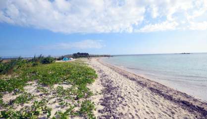 Baignade déconseillée à l’Anse-Vata et pointe Magnin