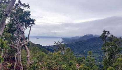 Les véhicules supérieurs à 3,5 tonnes interdits sur une portion de la RT3 à Poindimié