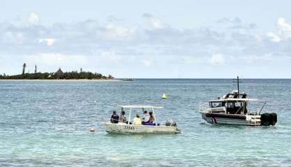 Nouméa : le premier bouledogue prélevé n’est pas l’auteur de l’attaque du 29 janvier