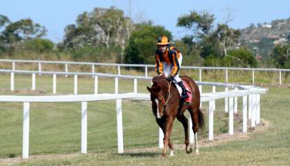 Le PMU dans la tourmente
