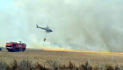 Quatre hectares de brousse ravagés par les flammes à Païta