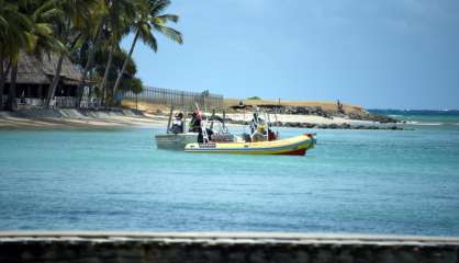 Attaque au Château Royal : des restes humains découverts dans un requin-bouledogue