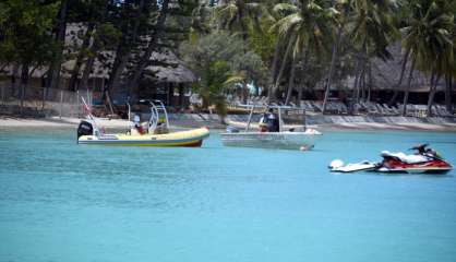 Après l’attaque mortelle, dix-sept requins-tigres et bouledogues prélevés à Nouméa